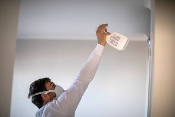 Best Mold Cleaning Services  in Holland, TX