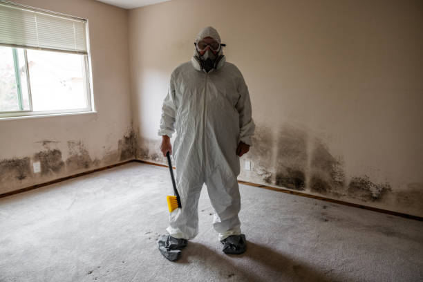 Best Residential Mold Removal  in Holland, TX
